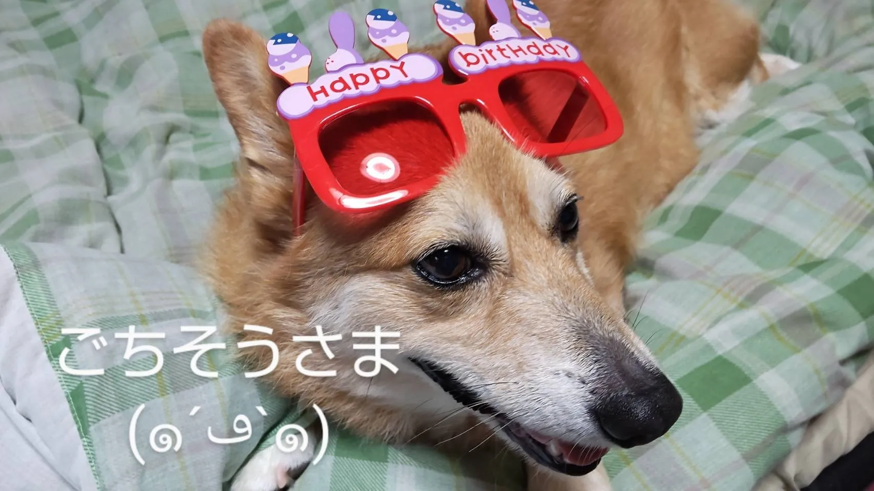 るぃくんHAPPY☆BIRTHDAY１０歳！
